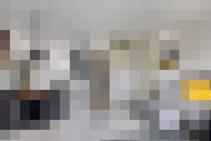 De Gasperisingel 39 Ede thumbnail 11