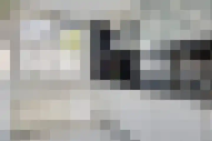De Gasperisingel 39 Ede thumbnail 13