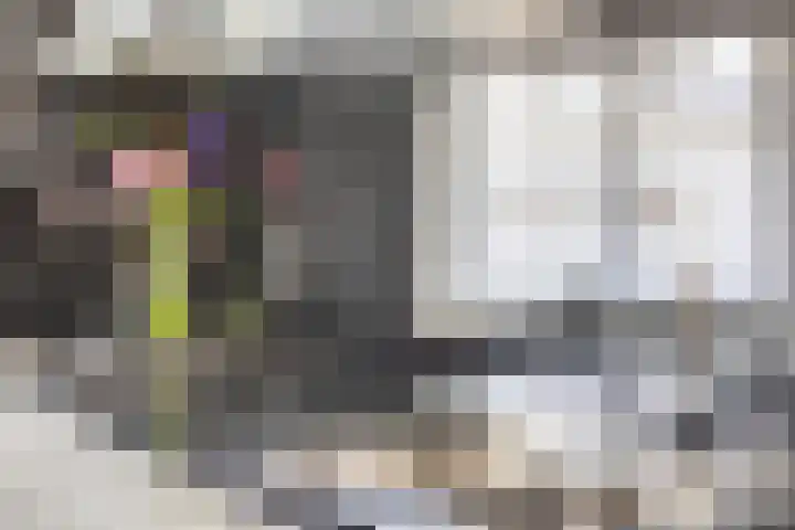 De Gasperisingel 39 Ede thumbnail 14