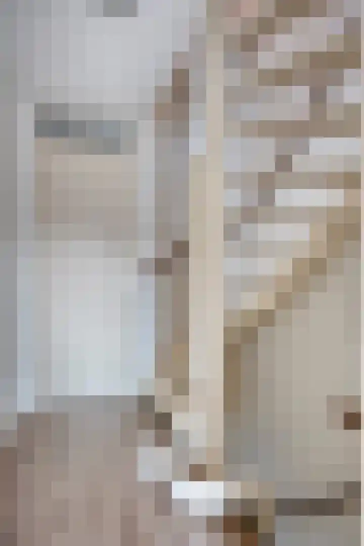 De Gasperisingel 39 Ede thumbnail 16