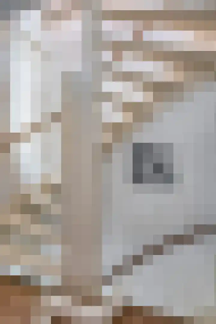 De Gasperisingel 39 Ede thumbnail 17