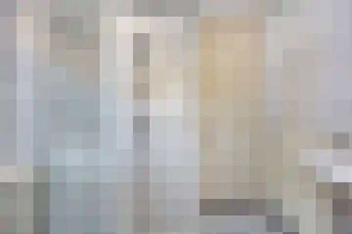De Gasperisingel 39 Ede thumbnail 26