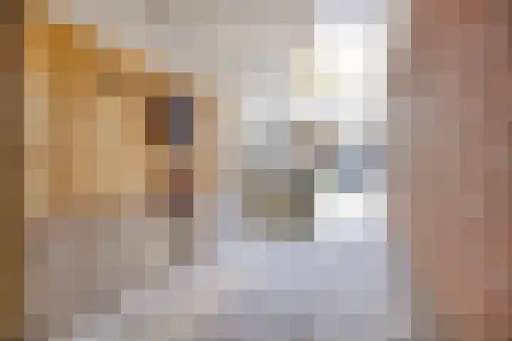 De Gasperisingel 39 Ede thumbnail 39