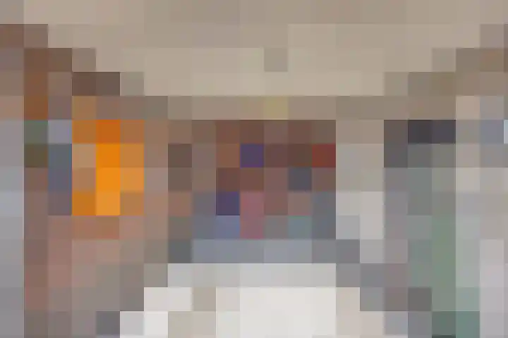 De Gasperisingel 39 Ede thumbnail 40