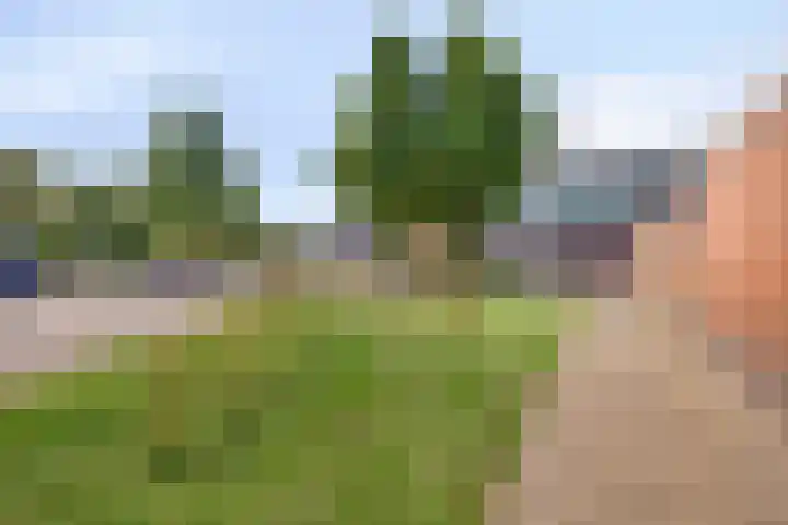 De Gasperisingel 39 Ede thumbnail 42