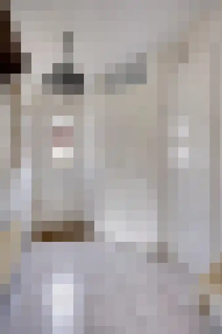 De Gasperisingel 39 Ede thumbnail 5