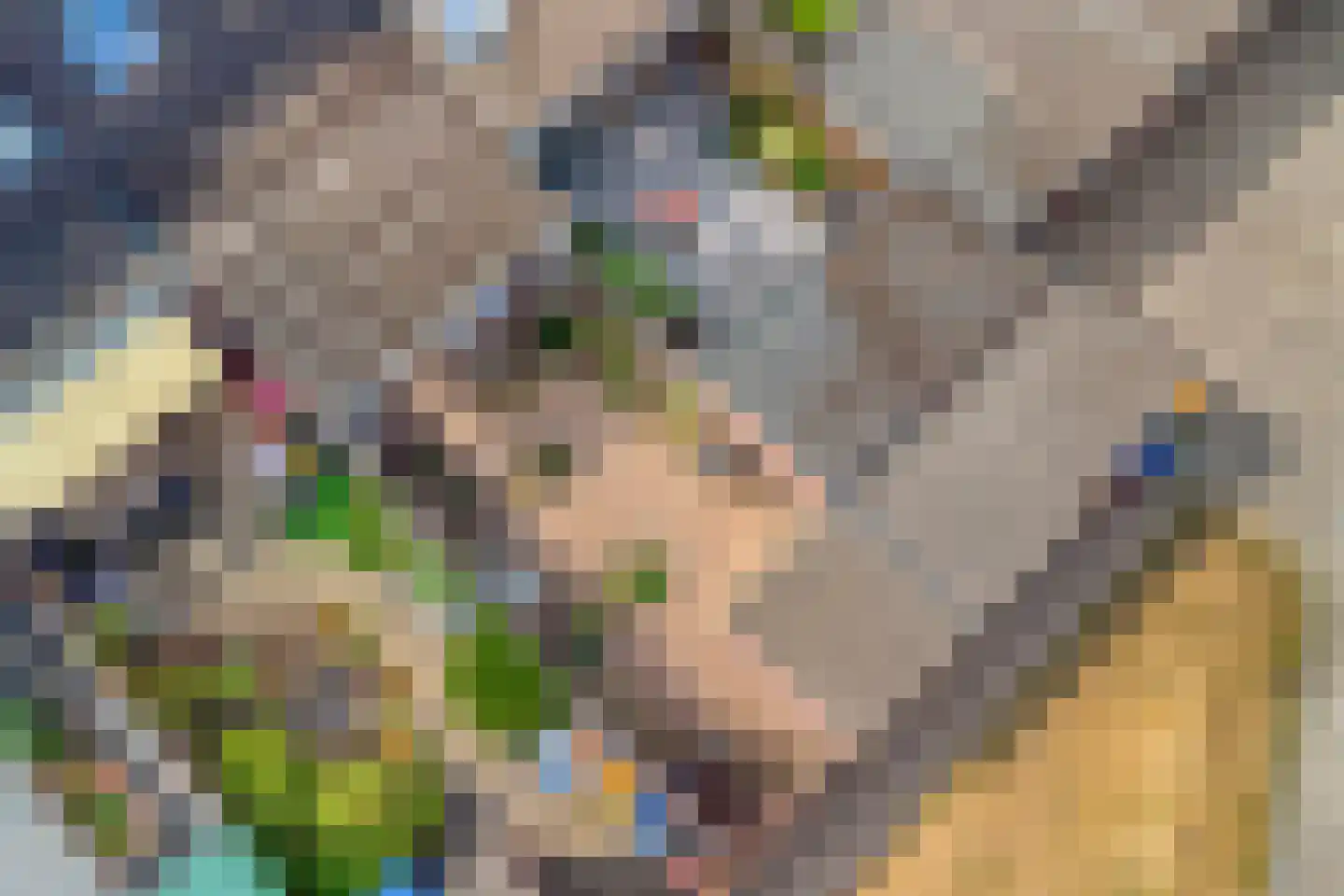De Gasperisingel 43 Ede thumbnail 32