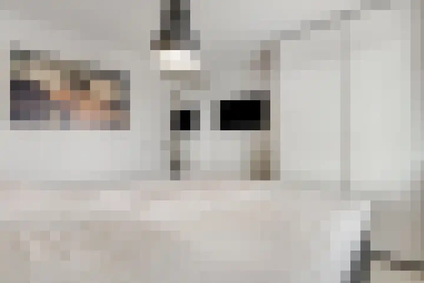 De Gasperisingel 44 Ede thumbnail 10