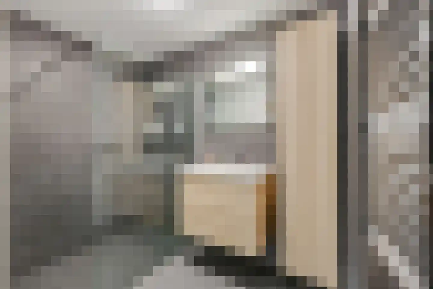 De Gasperisingel 44 Ede thumbnail 12