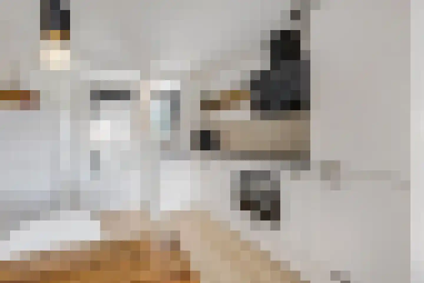 De Gasperisingel 44 Ede thumbnail 6