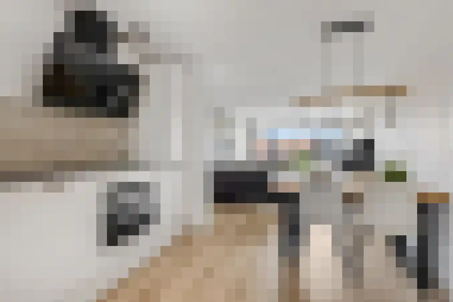 De Gasperisingel 44 Ede thumbnail 8