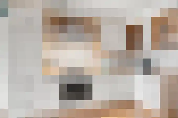 De Gasperisingel 64 Ede thumbnail 11