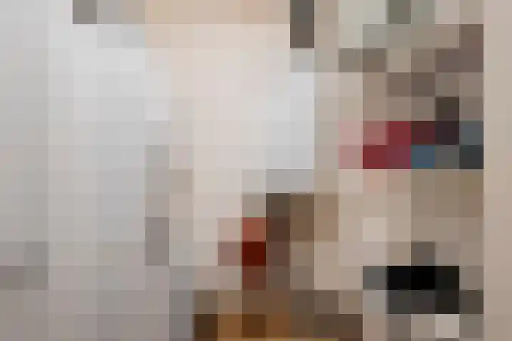 De Gasperisingel 64 Ede thumbnail 20