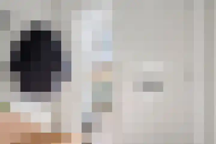 De Gasperisingel 64 Ede thumbnail 21