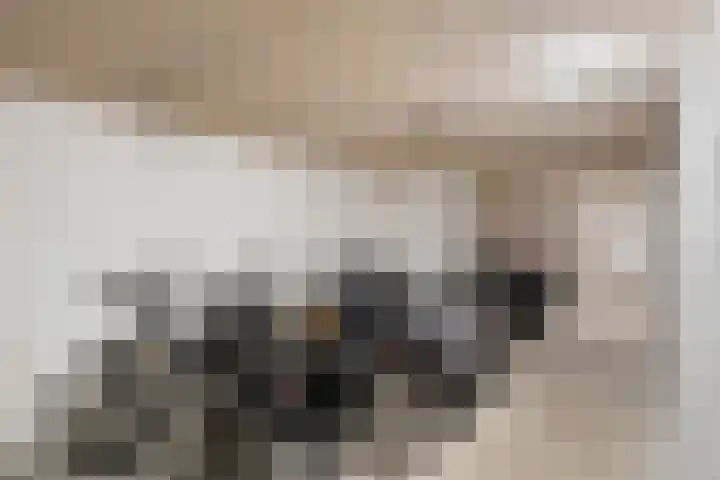 De Gasperisingel 64 Ede thumbnail 24