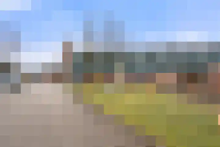 De Gasperisingel 64 Ede thumbnail 28