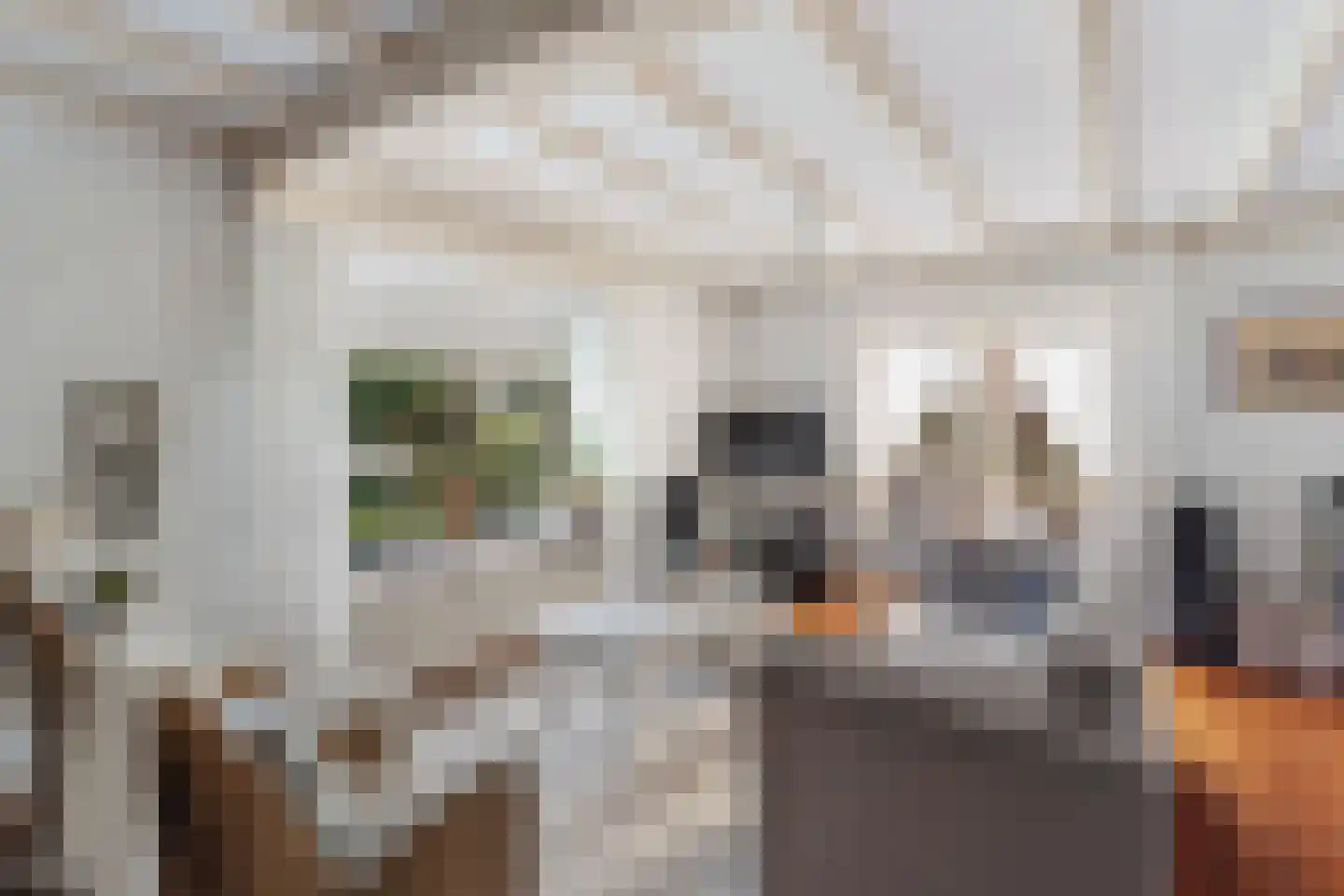 De Gasperistraat 17 Zevenaar thumbnail 12
