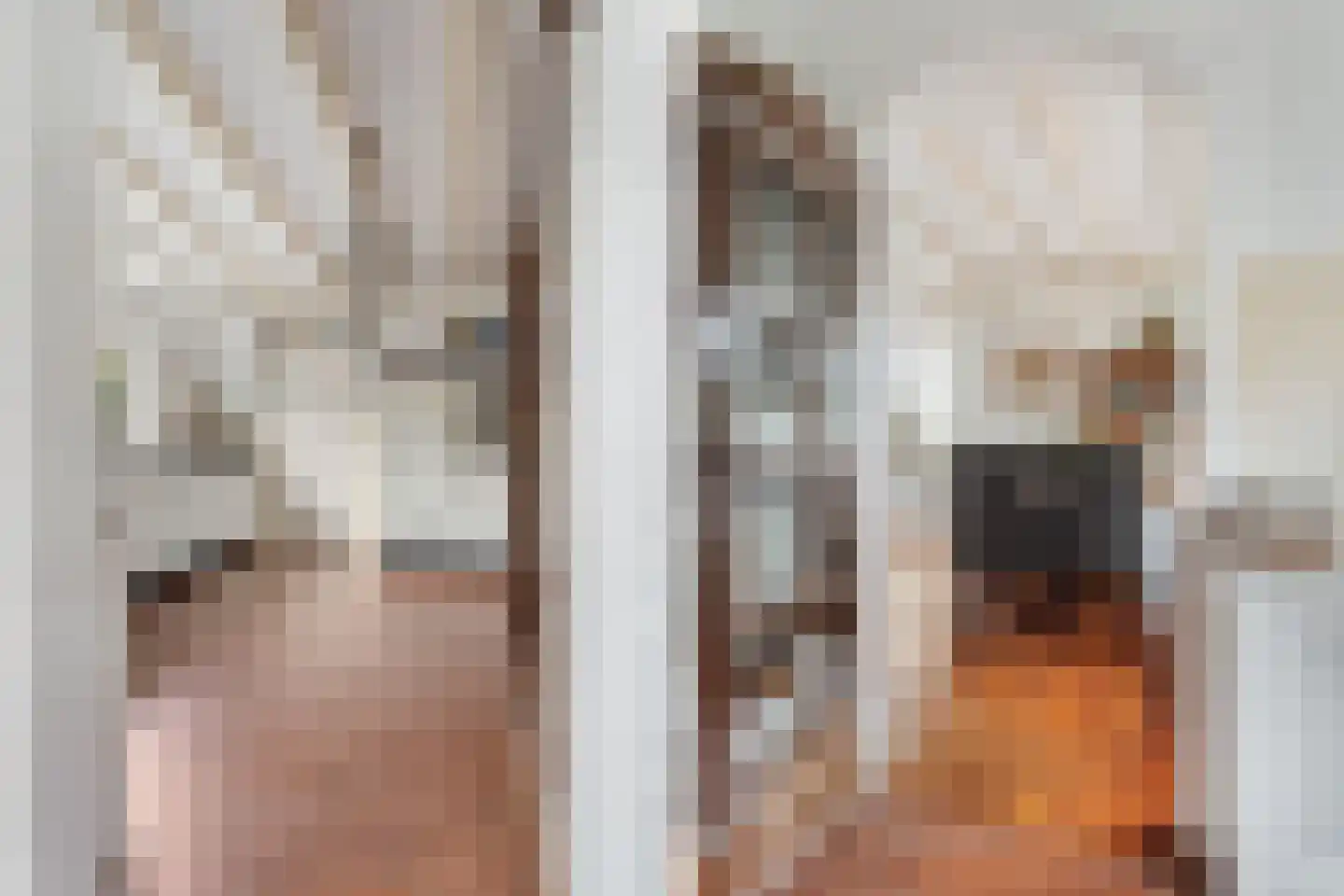 De Gasperistraat 17 Zevenaar thumbnail 15