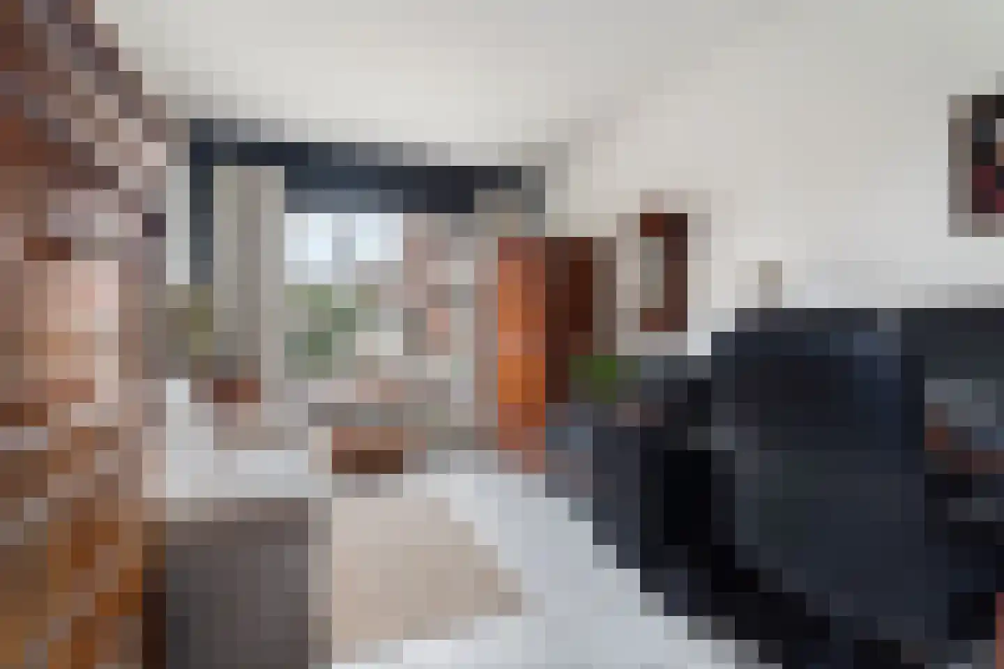 De Gasperistraat 17 Zevenaar thumbnail 23