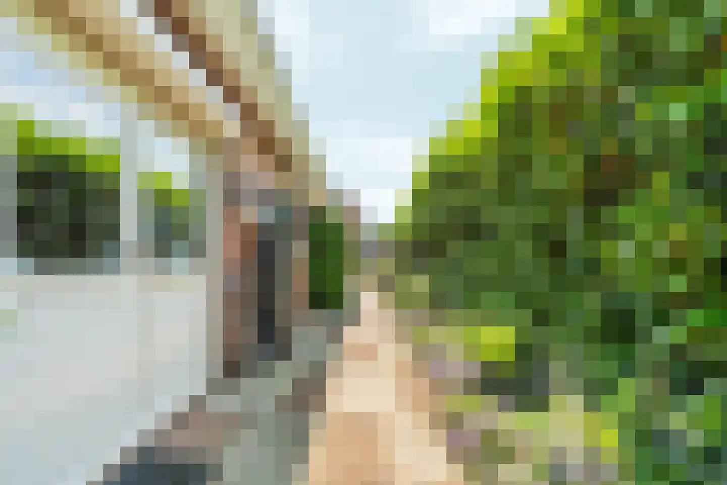 De Gasperistraat 17 Zevenaar thumbnail 42