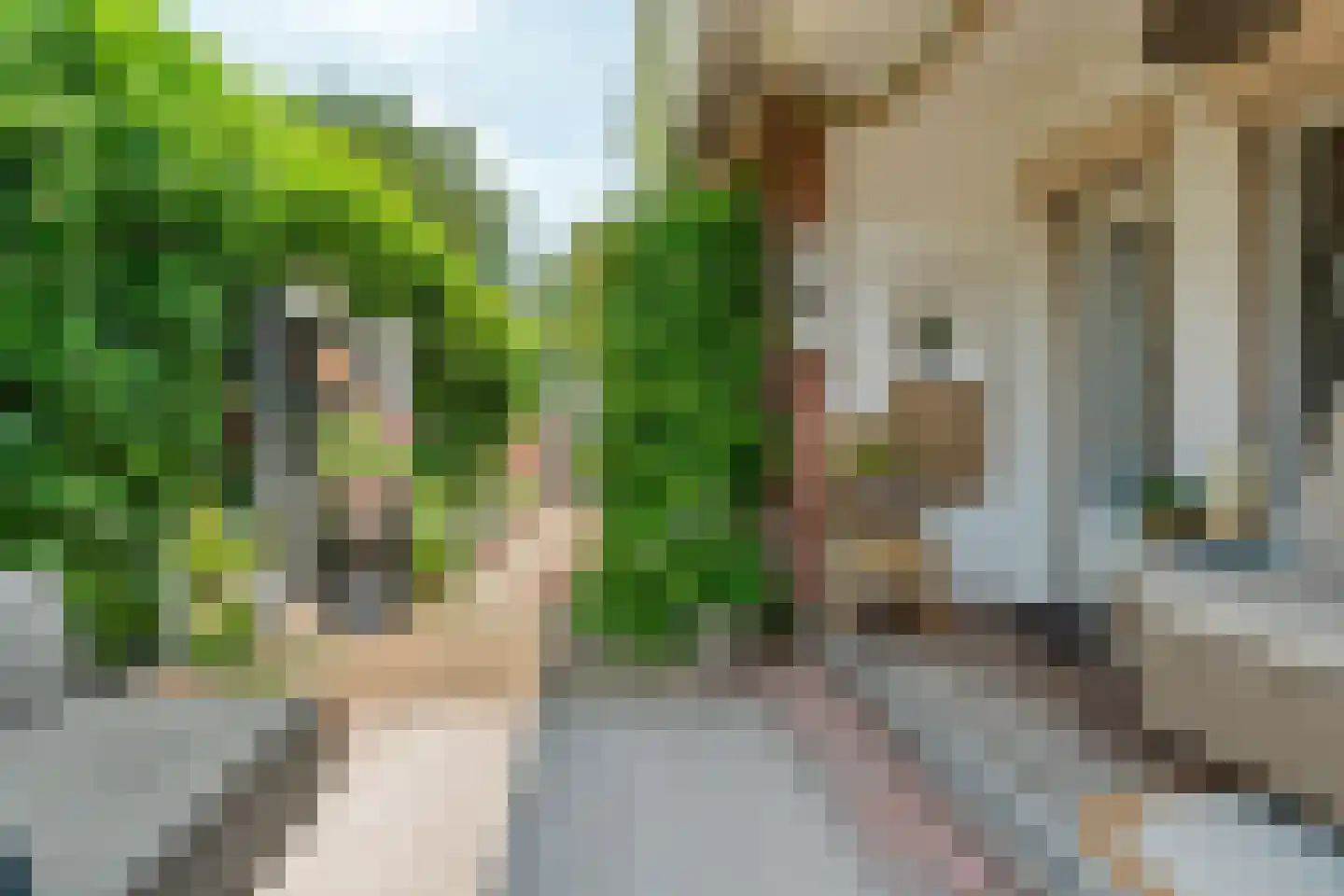 De Gasperistraat 17 Zevenaar thumbnail 45