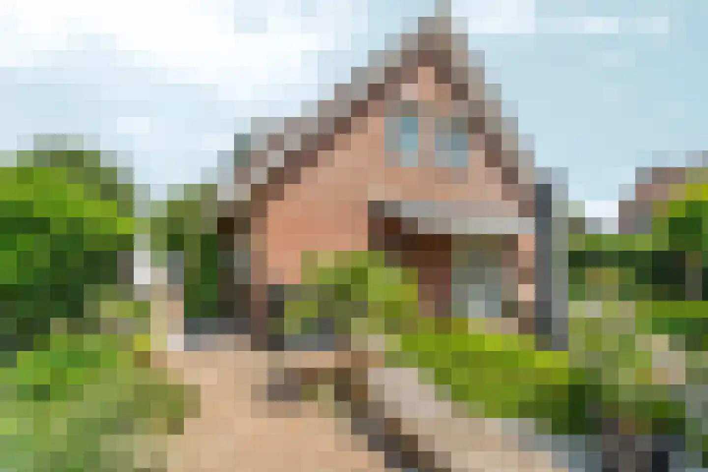 De Gasperistraat 17 Zevenaar thumbnail 47