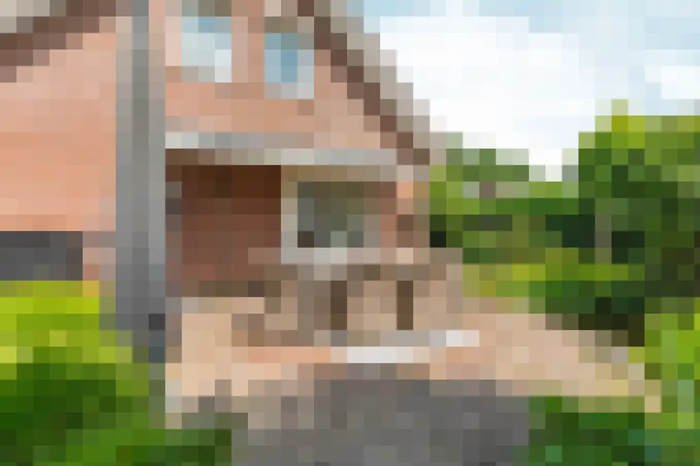 De Gasperistraat 17 Zevenaar thumbnail 48