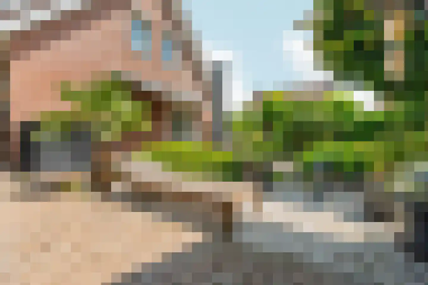 De Gasperistraat 17 Zevenaar thumbnail 50