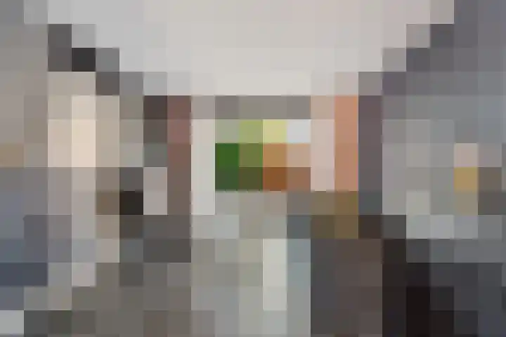 De Gasperistraat 20 Zevenaar thumbnail 21