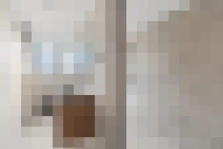 De Gasperistraat 20 Zevenaar thumbnail 5