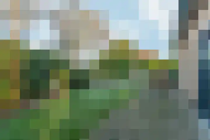 De Gasperistraat 20 Zevenaar thumbnail 50