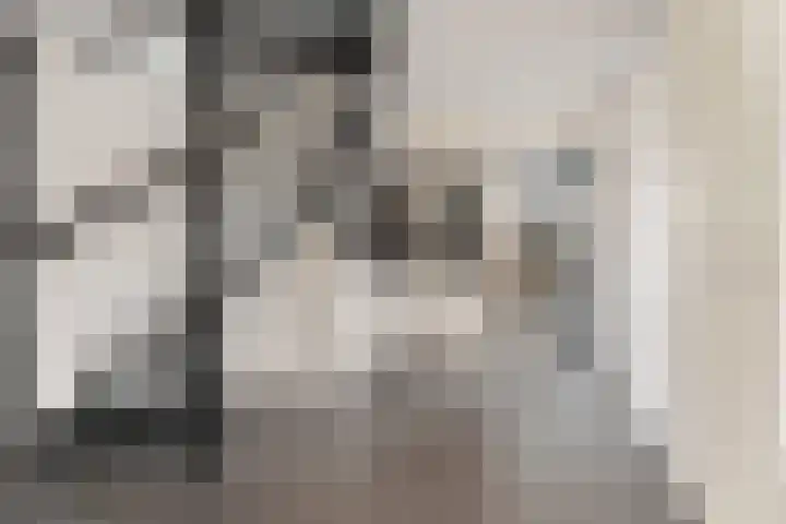 De Gasperistraat 20 Zevenaar thumbnail 8