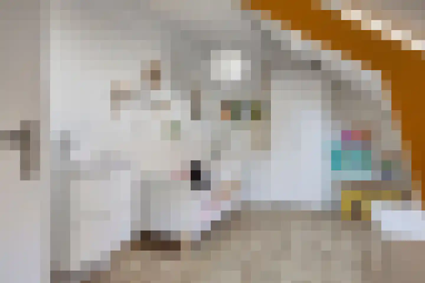 De Gasperistraat 22 Goes thumbnail 17