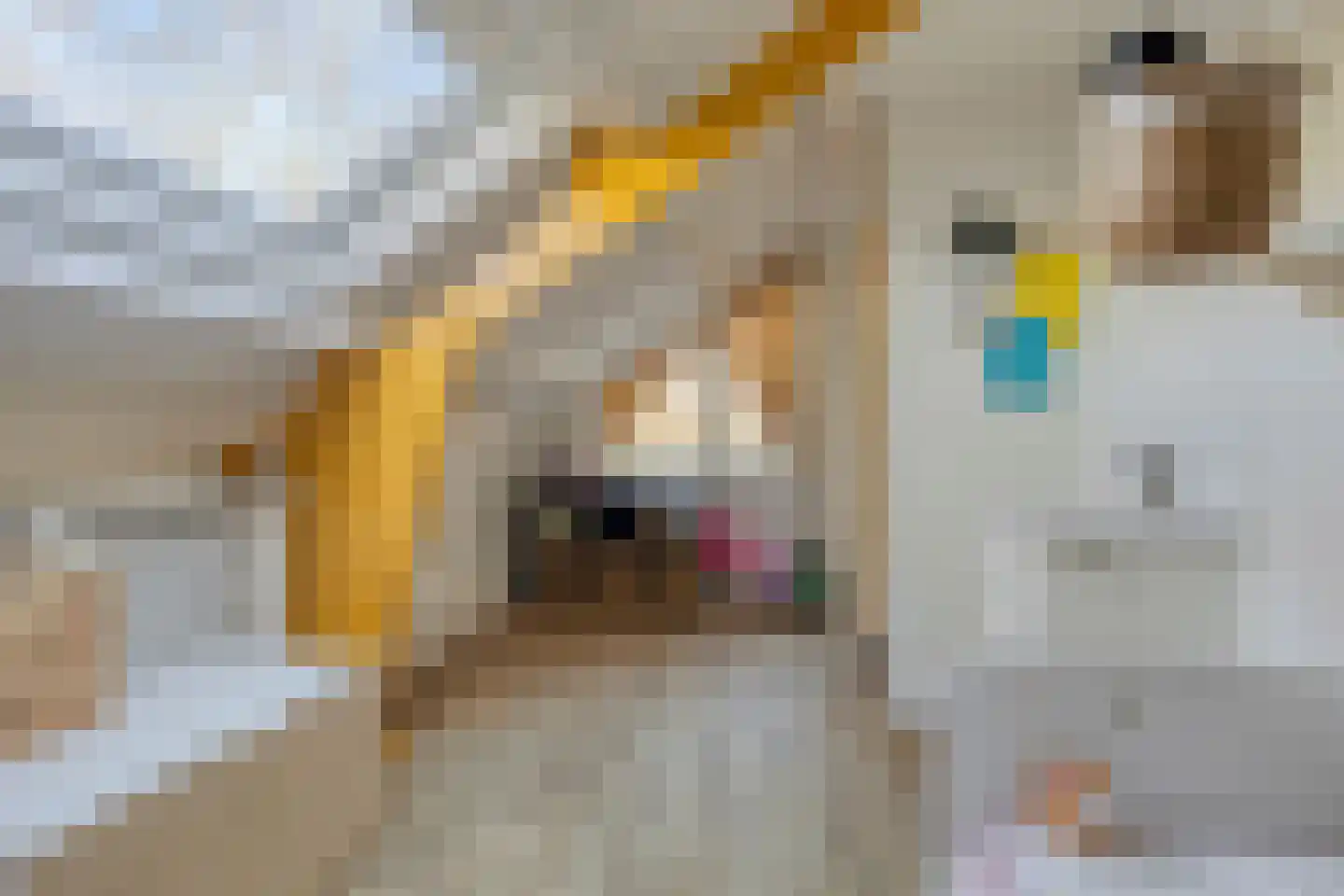 De Gasperistraat 22 Goes thumbnail 18