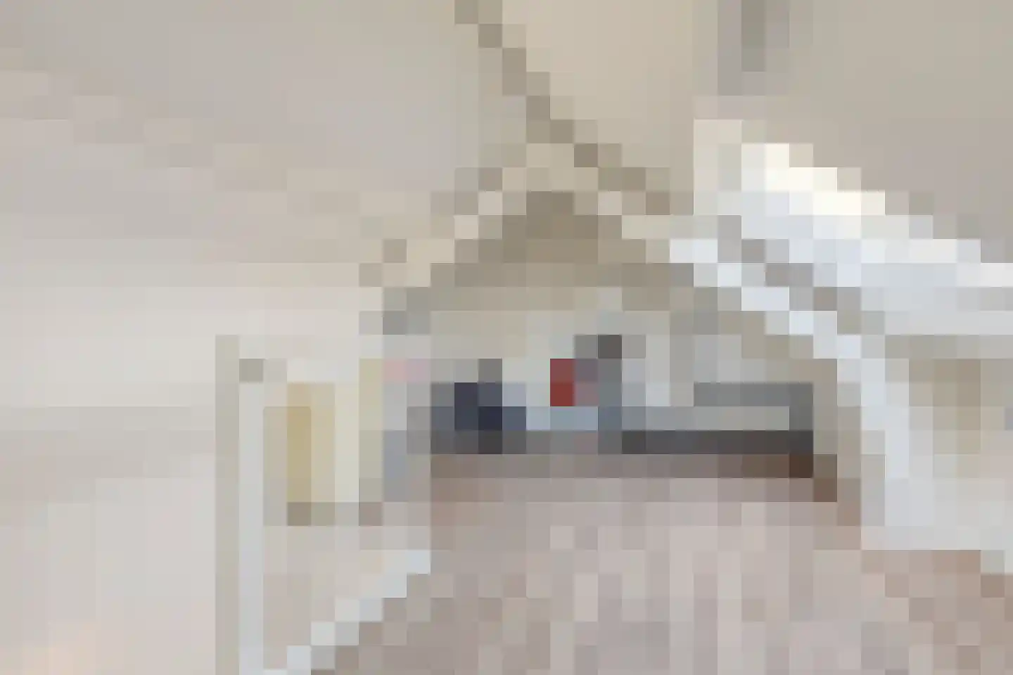 De Gasperistraat 22 Goes thumbnail 19