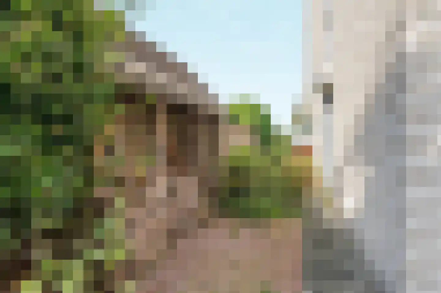 De Gasperistraat 33 Zevenaar thumbnail 41