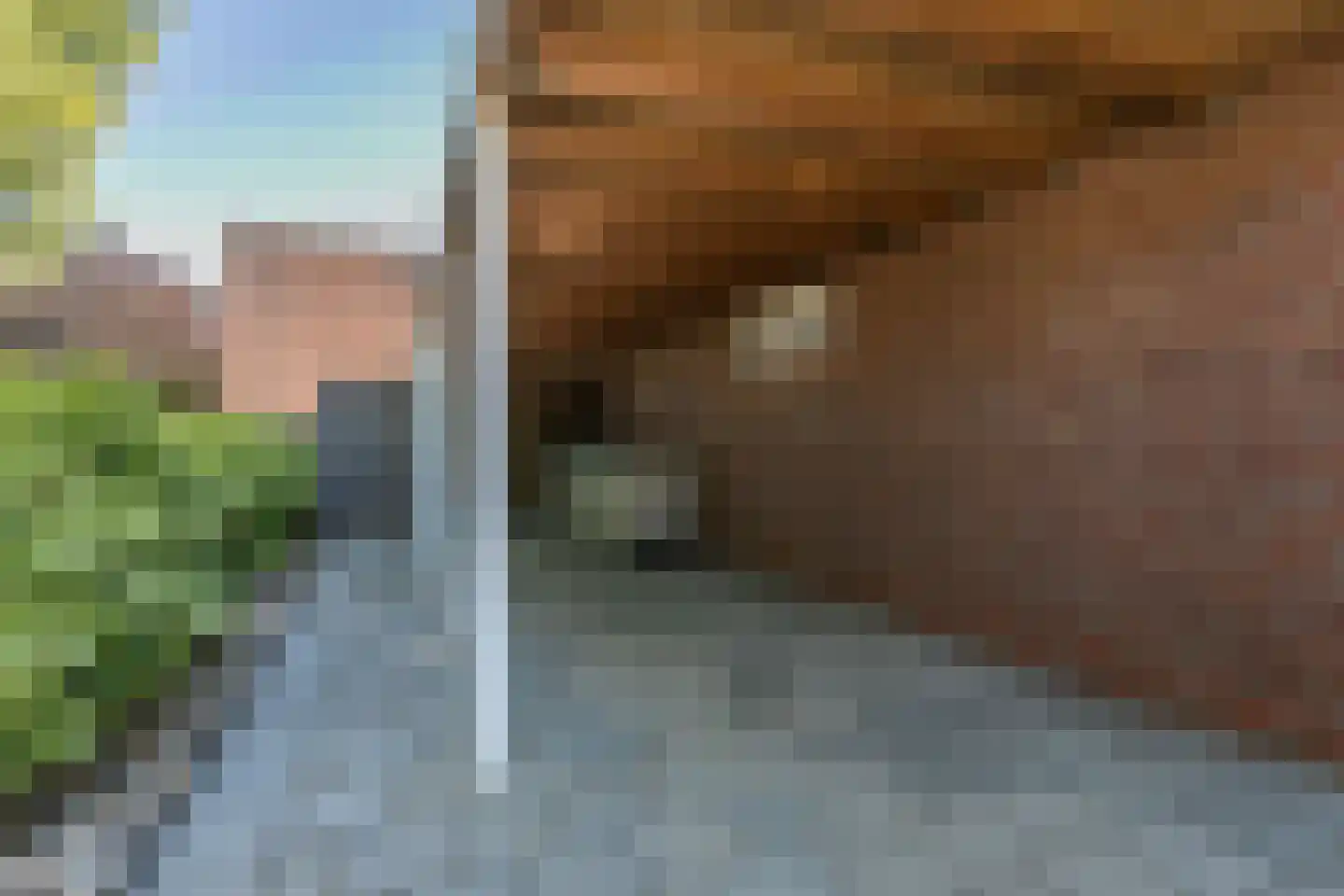 De Gasperistraat 38 Brunssum thumbnail 30