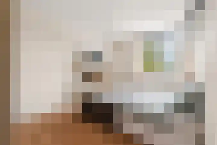De Gasperistraat 5 Zevenaar thumbnail 21