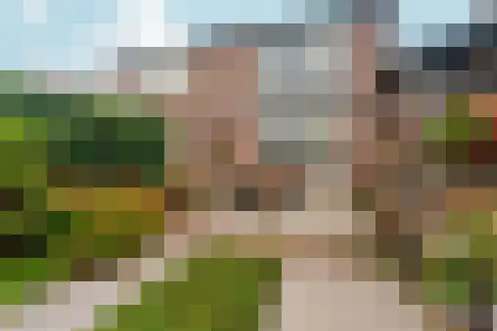 De Gasperistraat 5 Zevenaar thumbnail 37