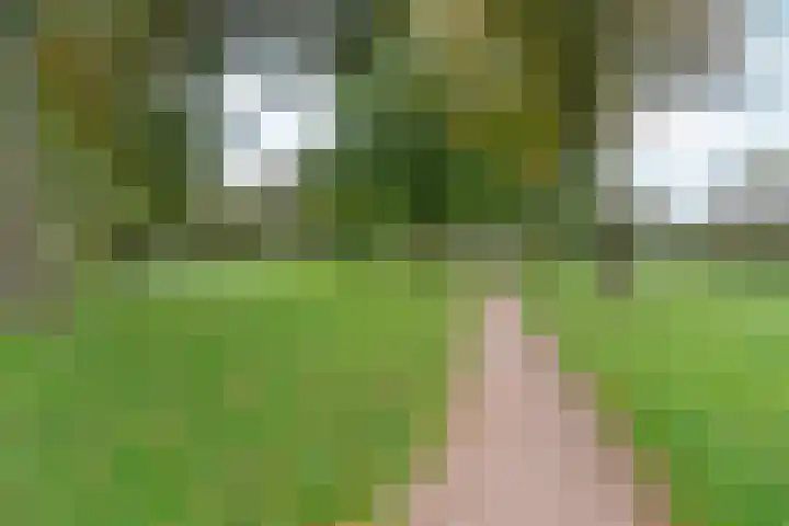 De Gasperistraat 5 Zevenaar thumbnail 48