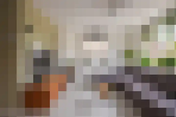 De Gasperistraat 6 Zevenaar thumbnail 17