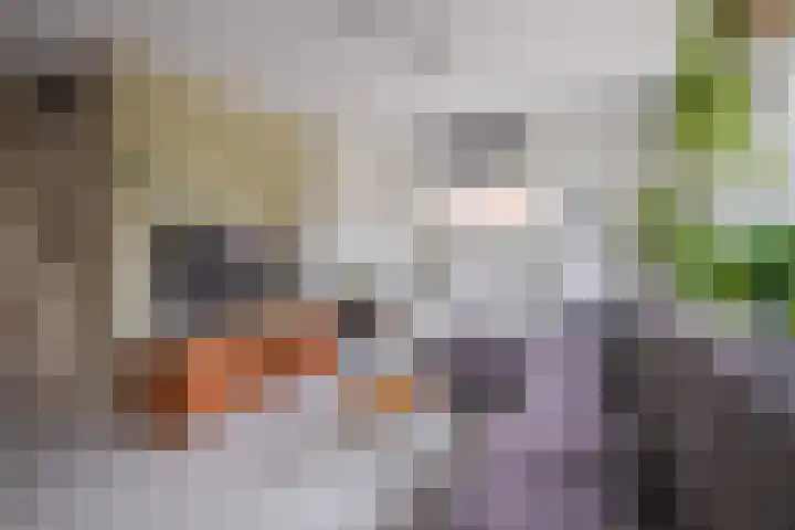 De Gasperistraat 6 Zevenaar thumbnail 18