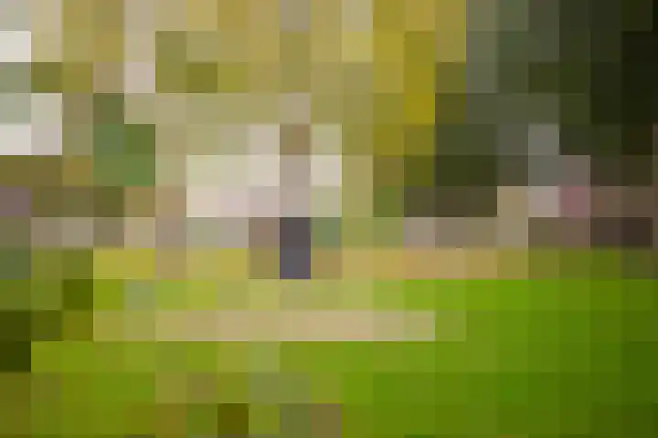 De Gasperistraat 6 Zevenaar thumbnail 5