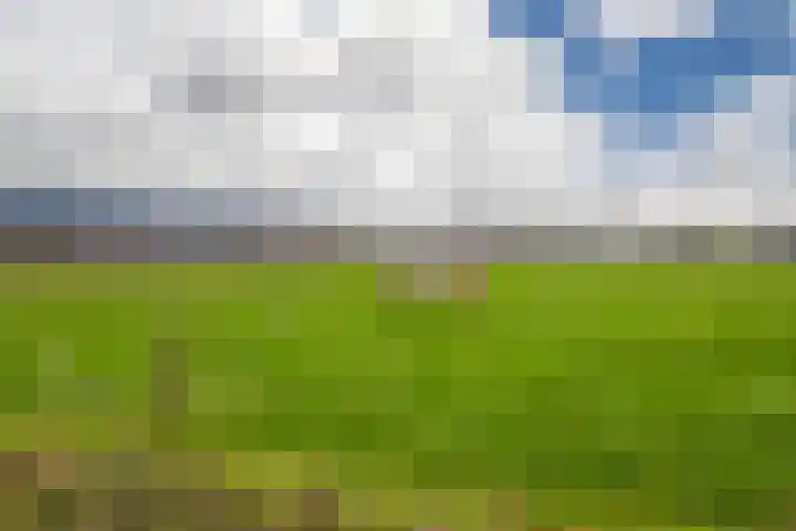 De Gasperistraat 6 Zevenaar thumbnail 8