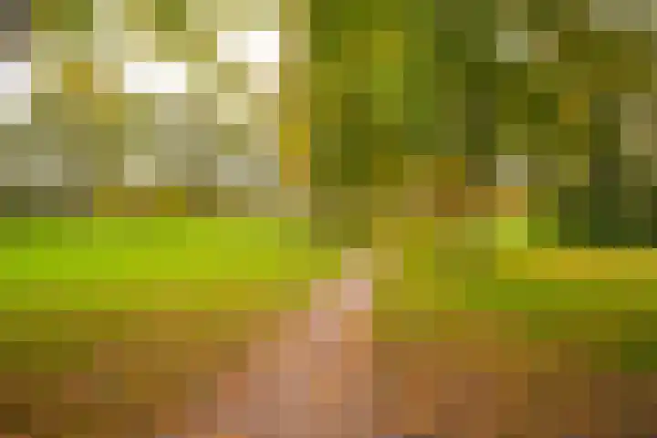 De Gasperistraat 6 Zevenaar thumbnail 9
