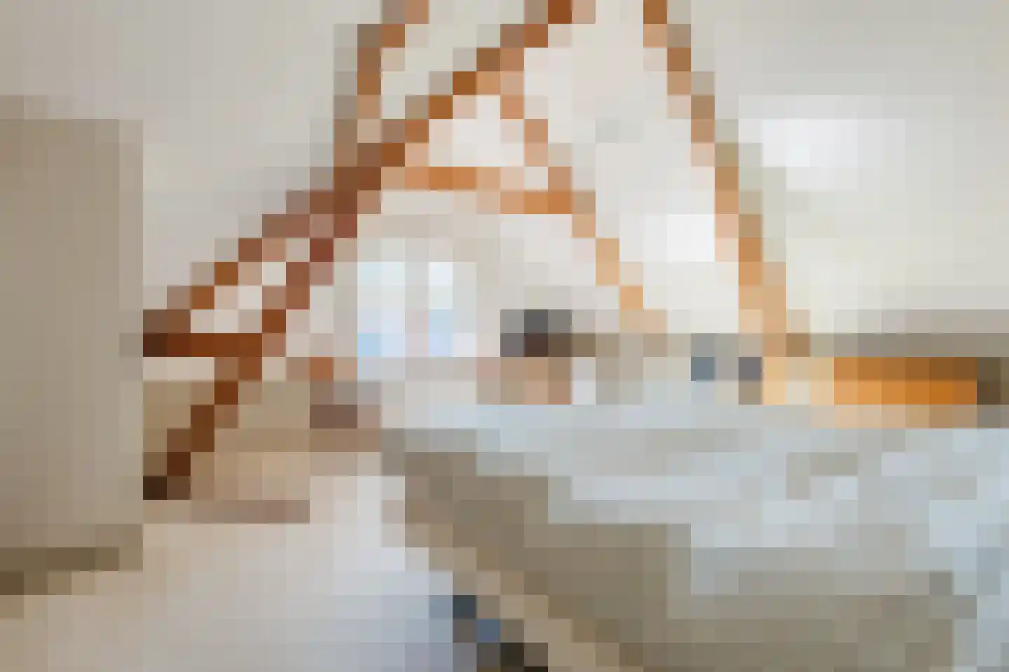 de Gast 34 Zuidhorn thumbnail 31