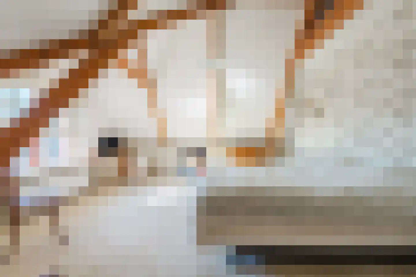 de Gast 34 Zuidhorn thumbnail 32