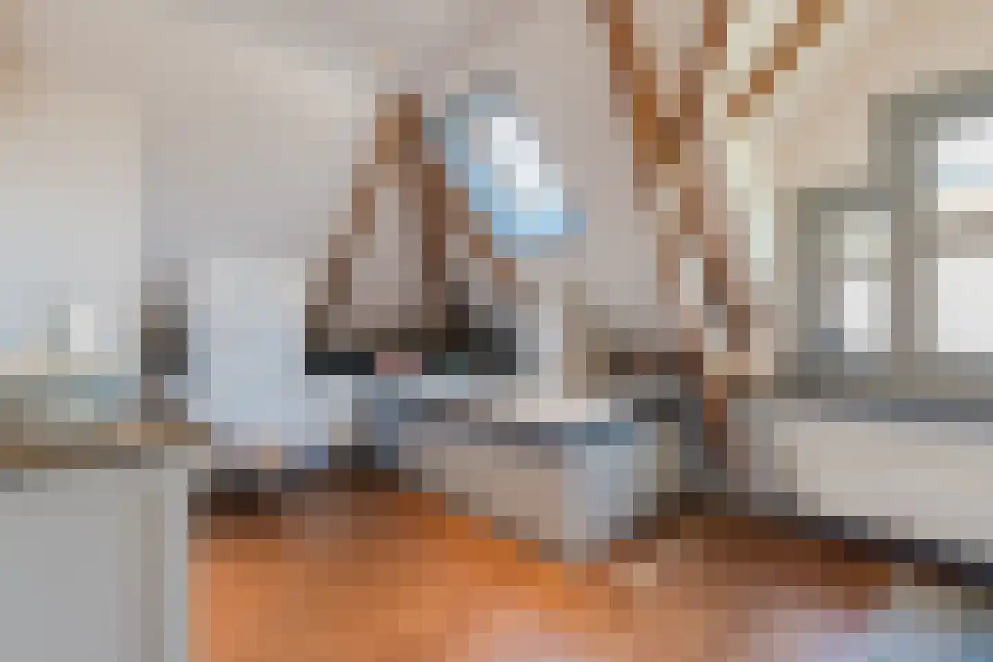 de Gast 34 Zuidhorn thumbnail 39