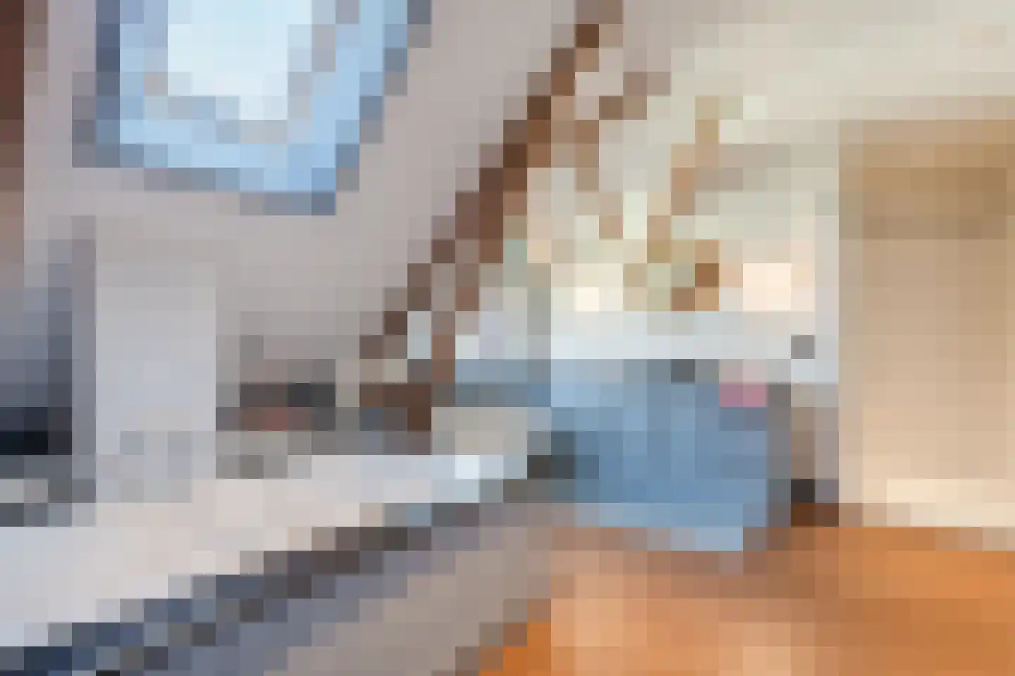 de Gast 34 Zuidhorn thumbnail 41