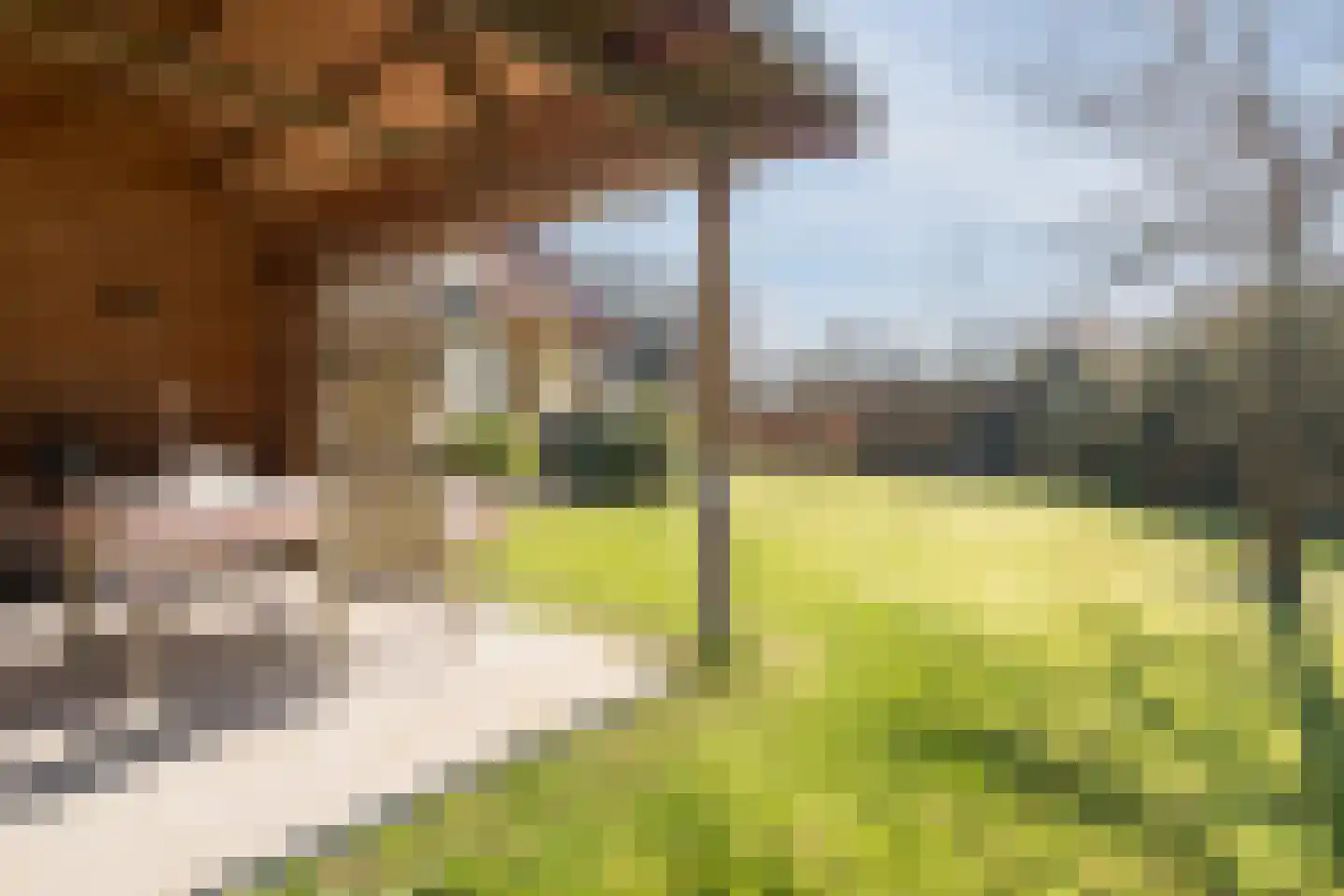 de Gast 34 Zuidhorn thumbnail 54